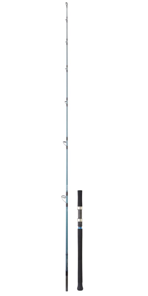 Cañas-spinning-Daiwa-GRANDWAVE-OFF-SHORE