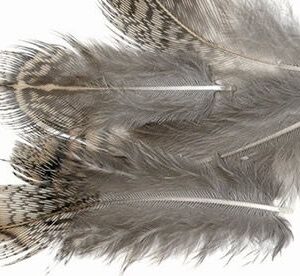 Pluma- perdiz-Veniard-english-Partridge