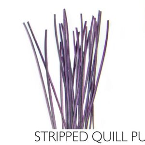 Quill-de-pavo-Polish-Quills-Stripped-quill-purple