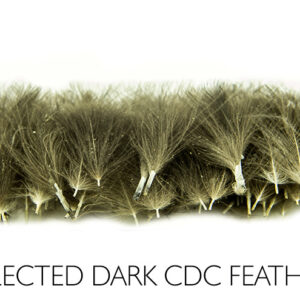 Pato CDC Polish Quills Selected CDC - 50 pcs