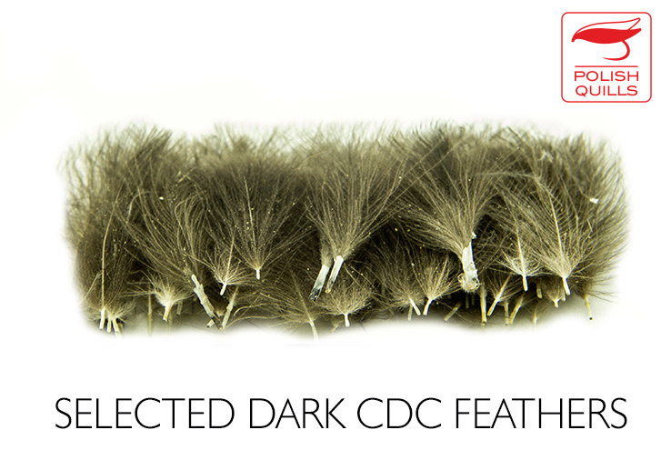 CDC-Polish-quills-50-plumas-select-dark