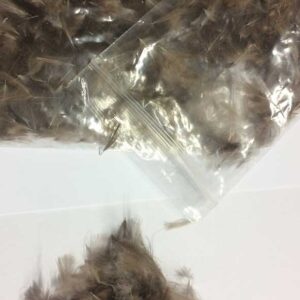 CDC pluma de pato Salvaje Natural