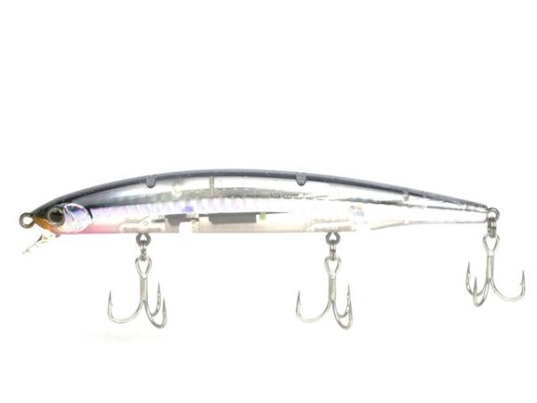 Bassday-log-surf-124-f-ct-287