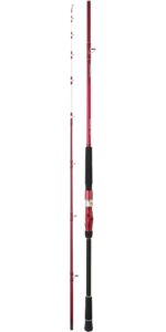 Caña-Daiwa-TANACOM-240-rh