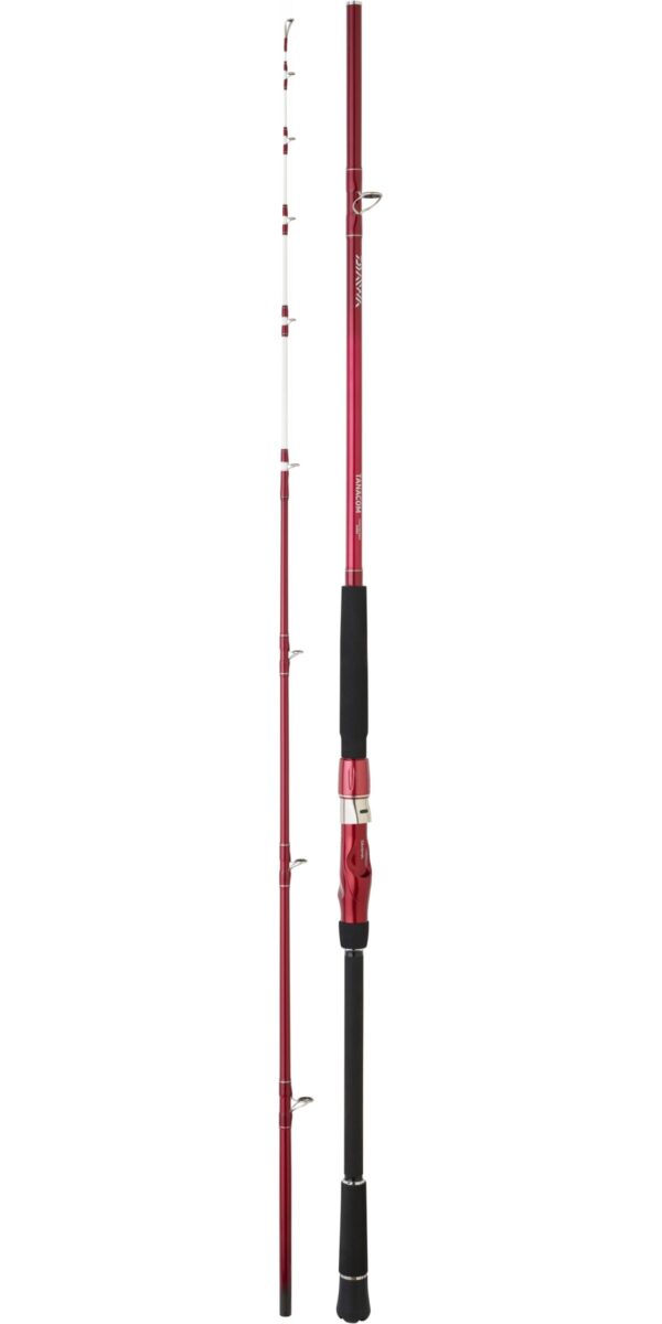 Caña-Daiwa-TANACOM-240-rh