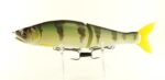 jointed-claw-178-INT_01_Green_Perch