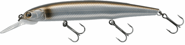 Imakatsu dardo 100
