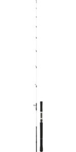 caña-daiwa-saltist-(1)