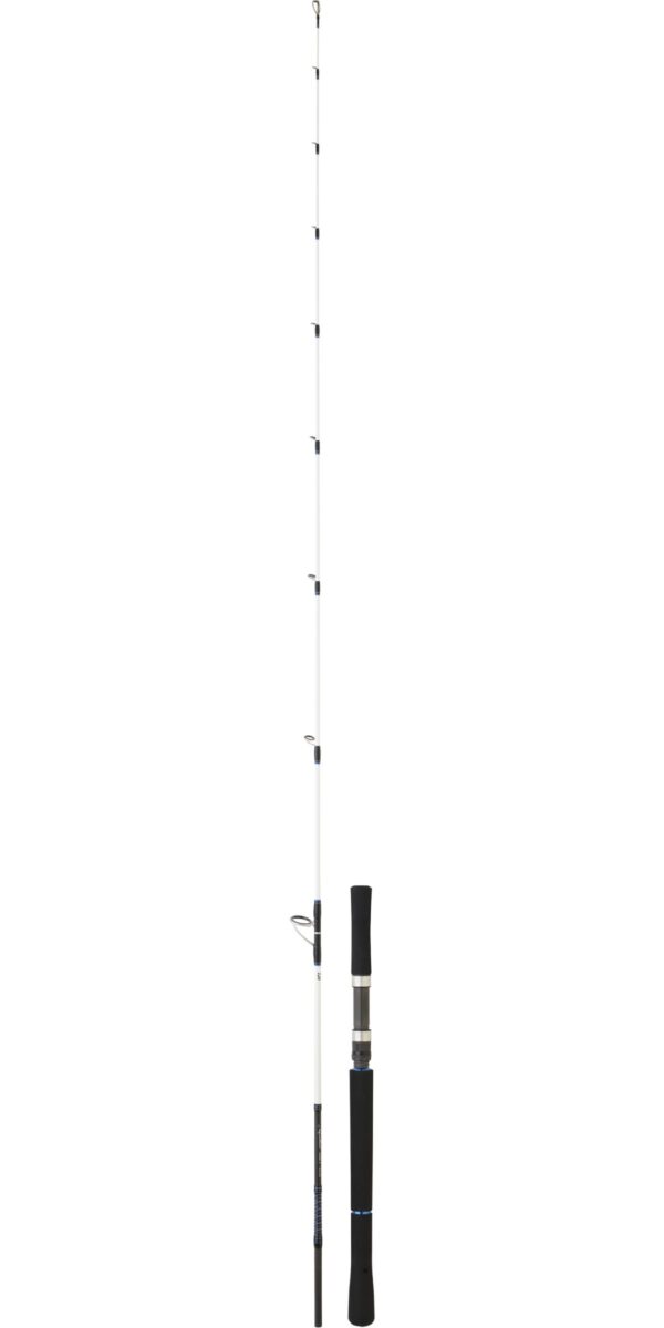 caña-daiwa-saltist-(1)