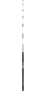 caña-daiwa-saltist-(6)