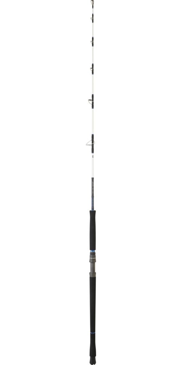 caña-daiwa-saltist-(6)