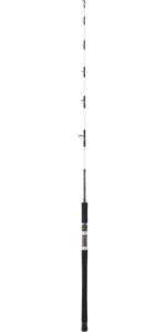 caña-daiwa-saltist-(8)