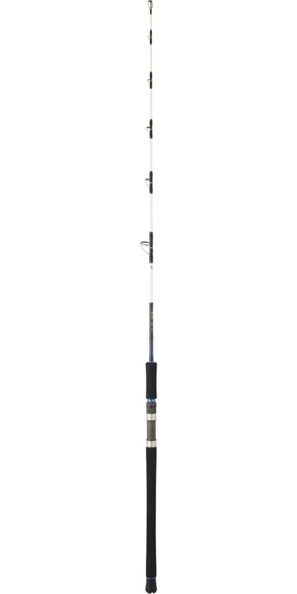 caña-daiwa-saltist-(8)