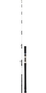 caña-daiwa-saltist-(9)