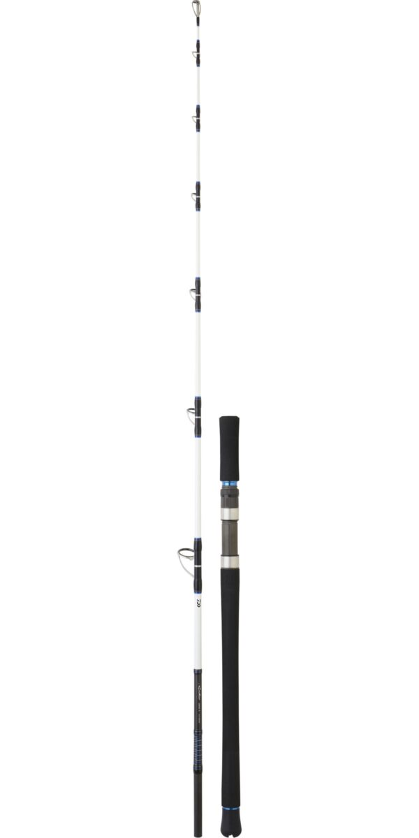caña-daiwa-saltist-(9)