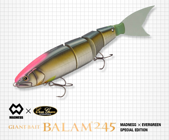 Balam 245 Madness Giant Bait Edicion EVERGREEN SPECIAL | Pescaworld | Tienda  online de pesca y artículos de pesca deportiva