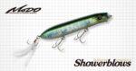 Ever_green_showerblows
