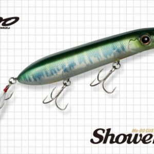 Ever_green_showerblows