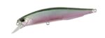duo_realis_jerkbait_100sp_CCC3254