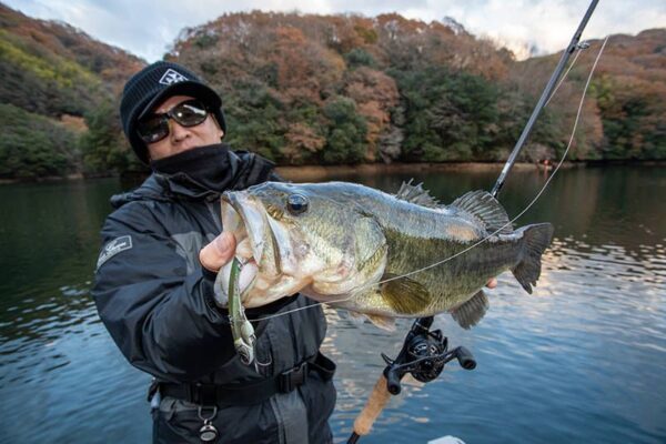 img04-2-pw-blade-bass