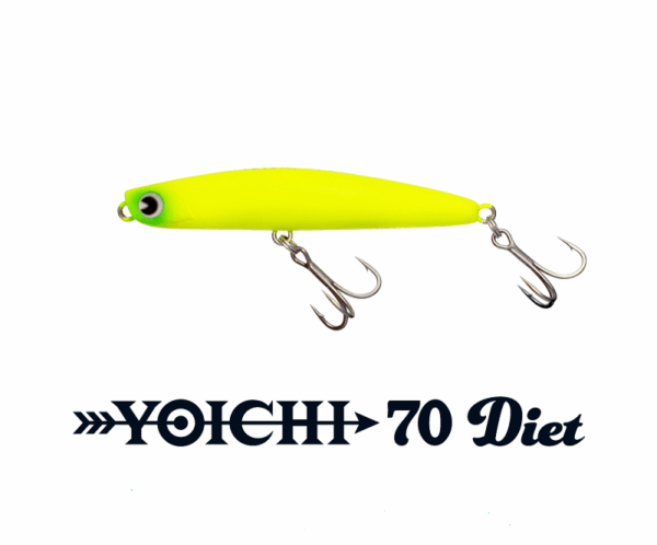 ima_yoichi_70_diet