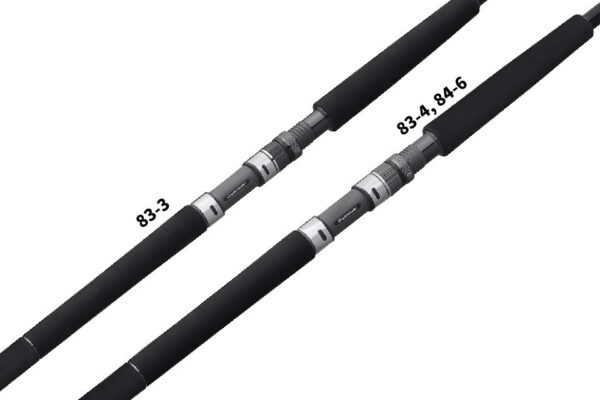 20-PROTONE-BC_1
