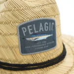Sombrero_de_paja_pelagic_baja_strw_2