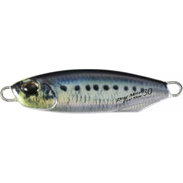 real-sardine-z-6308-630820
