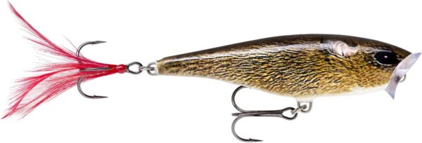 skitterpop-rapala-pic