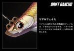 eg_eging_driftbanchonormalsinking_07
