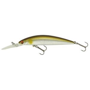 daiwa_tournament_current_master_ayu