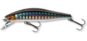 wise_minnow_daiwa