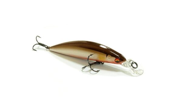 daiwa_current_master