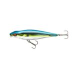 cs-blue-gill-shiner