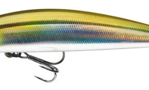 daiwa_tournament_current_master_ayu