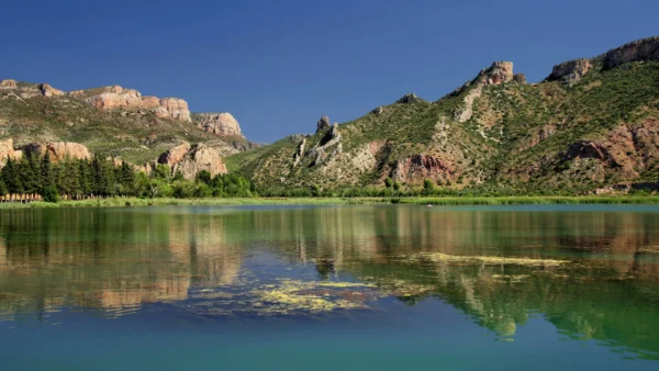 embalse_pesca_depredadores