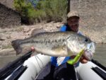 salidas_pesca_bass_lago