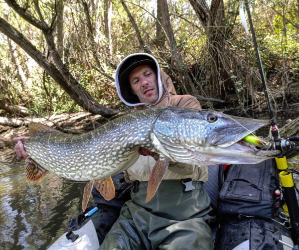 salidas_pesca_Lucio_rio