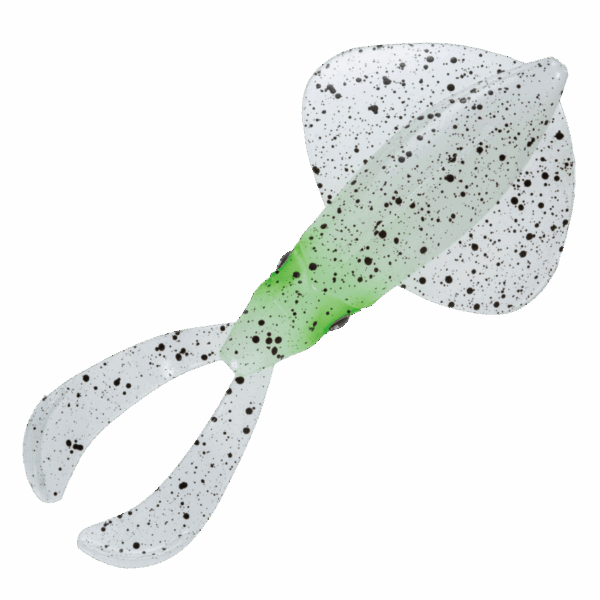 Major_craft_live_squid_1