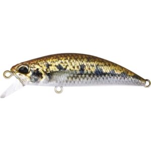 ryuki_50_goujon_F