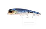 Labana_studio_milkshake_classic_sardine