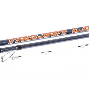 vercelli_trojan_lc