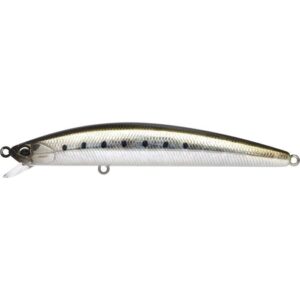 tideminnow_sprat_100sf